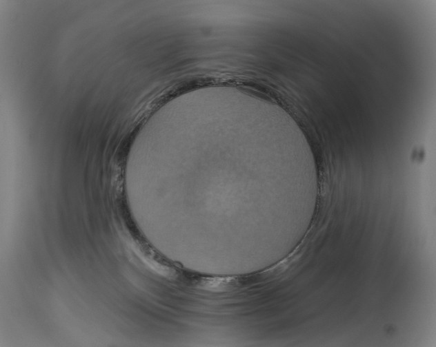 X0000114420136200911131459