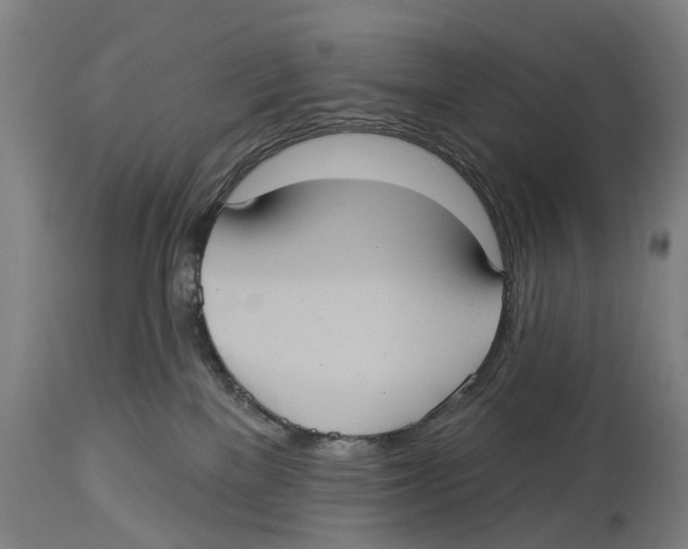 X0000114420137200911131459