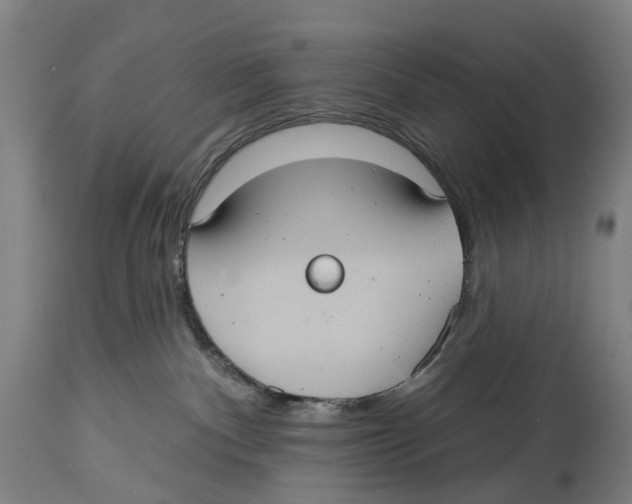 X0000114420140200911131459