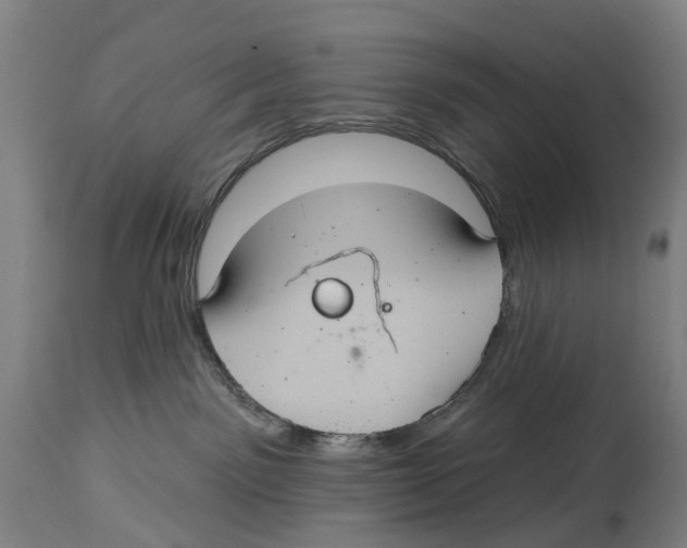 X0000114420141200911131459