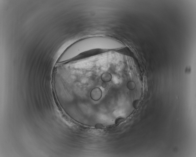 X0000114420147200911131458