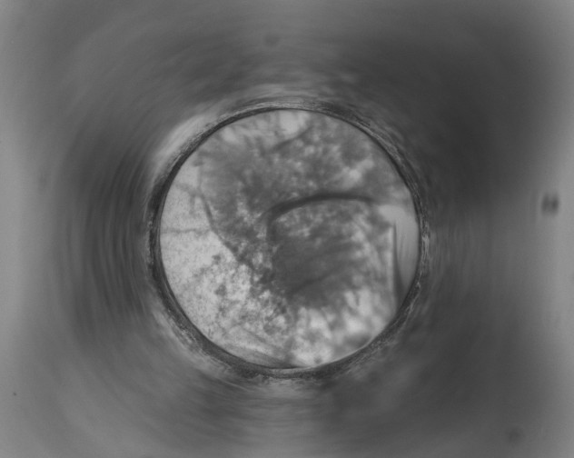 X0000114420149200911131458