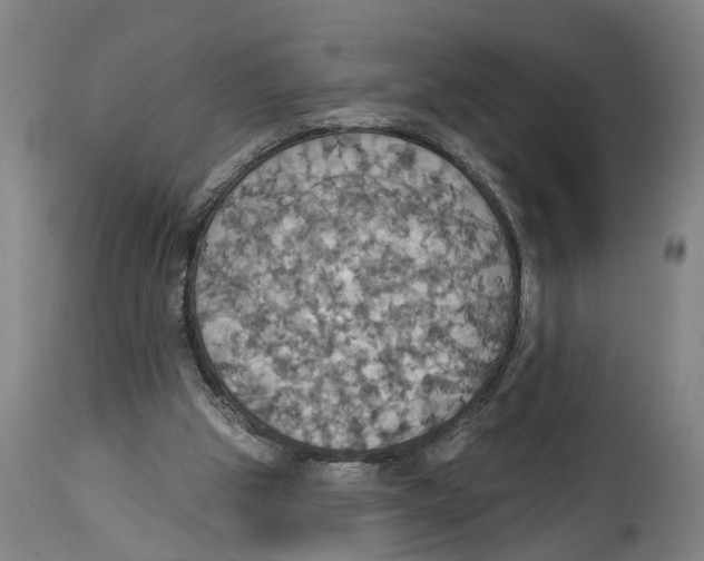 X0000114420153200911131458