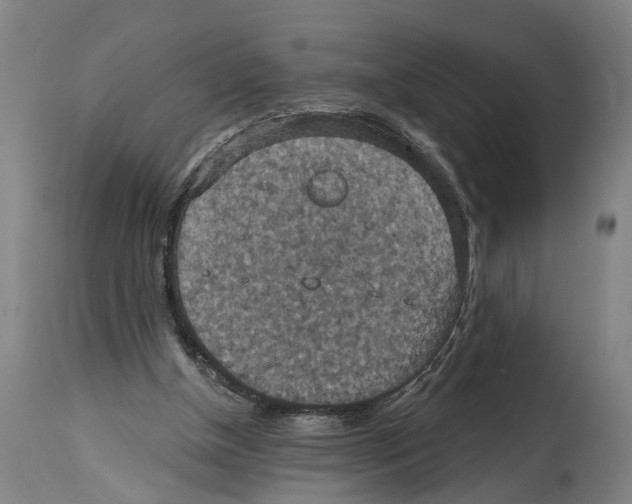 X0000114420154200911131458