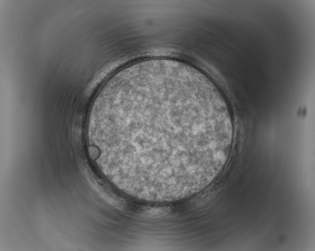 X0000114420155200911131458