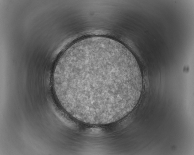 X0000114420159200911131458