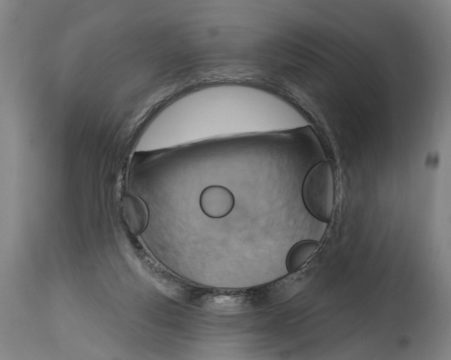 X0000114420163200911131458