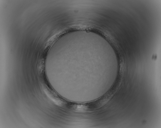 X0000114420165200911131458