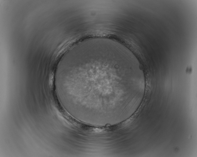 X0000114420166200911131458