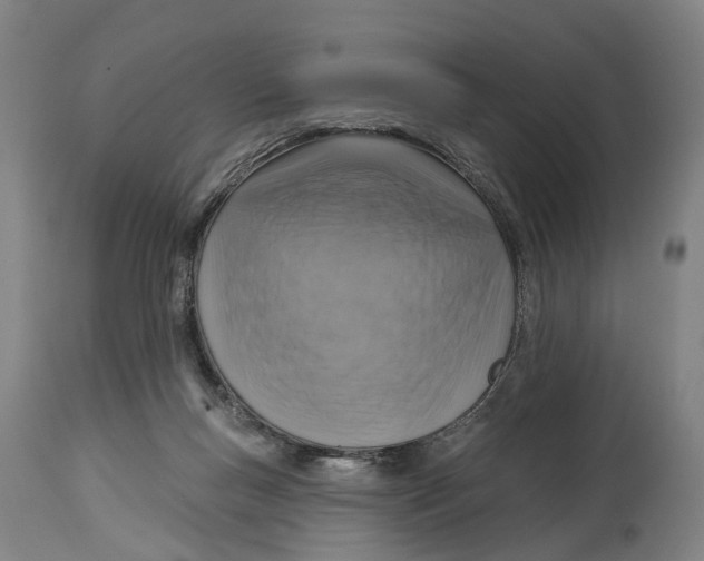 X0000114420167200911131458