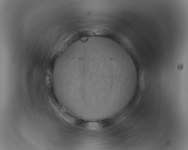 X0000114420169200911131459