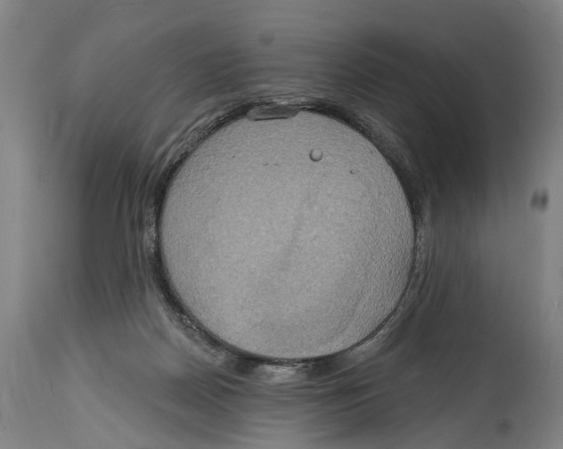 X0000114420170200911131459