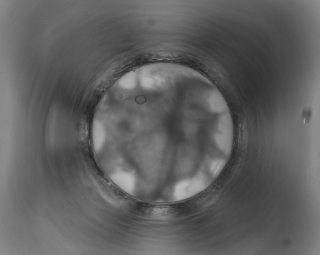 X0000114420173200911131459