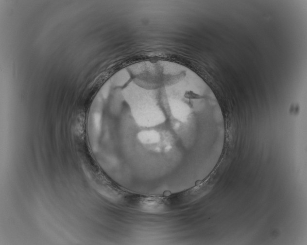 X0000114420175200911131459