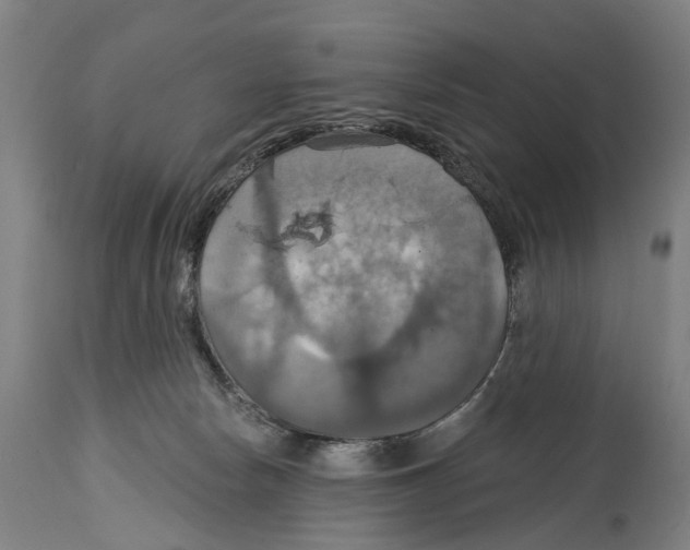 X0000114420178200911131459