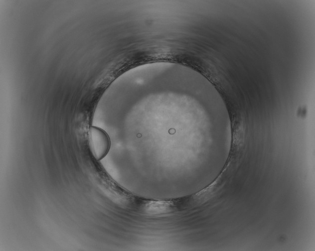 X0000114420179200911131459