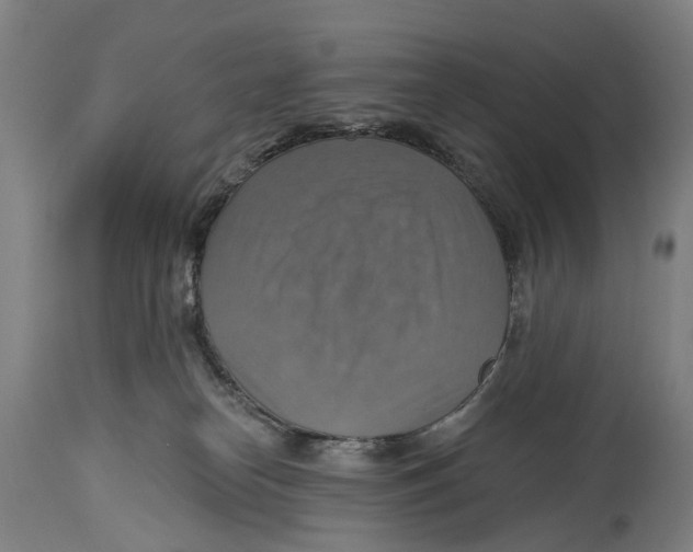 X0000114420182200911131459