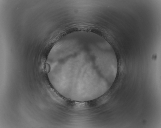 X0000114420185200911131459