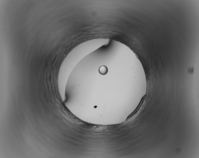 X0000114420186200911131459