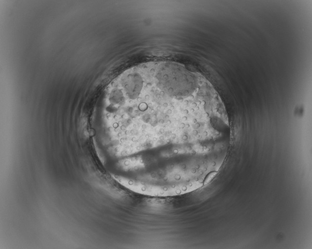 X0000114420187200911131459