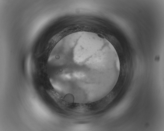 X0000114420189200911131459