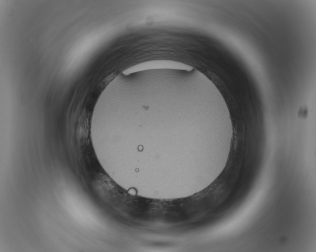 X0000114420190200911131459