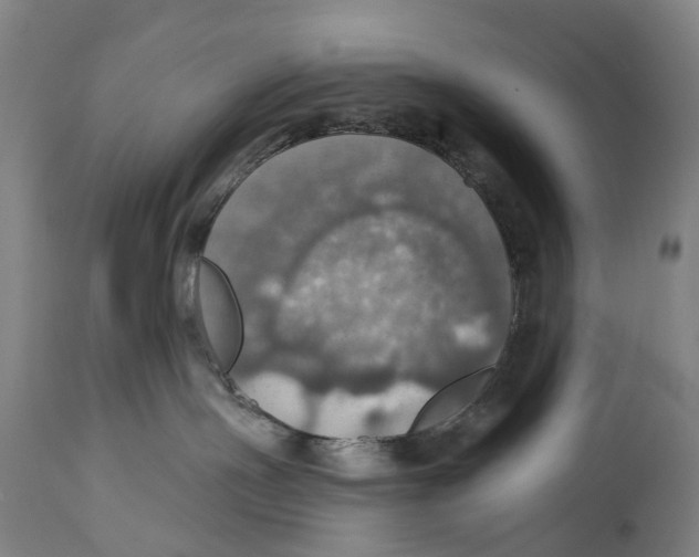 X0000114420191200911131459