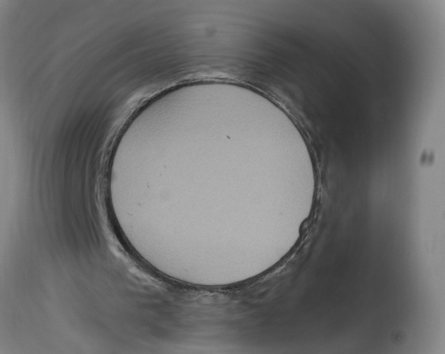 X0000114420193200911131458