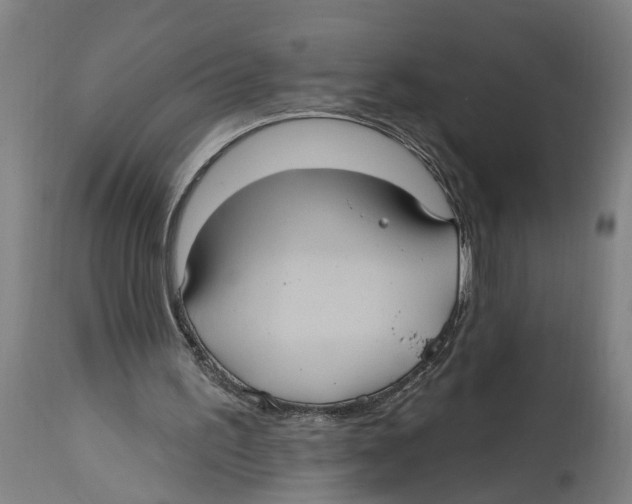 X0000114420195200911131458