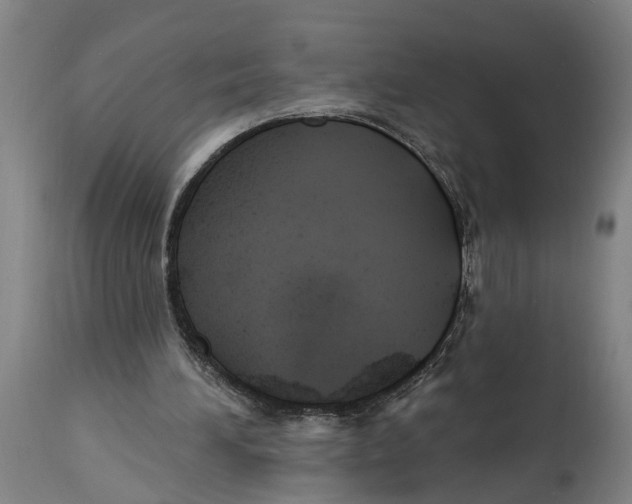 X0000114420196200911131458