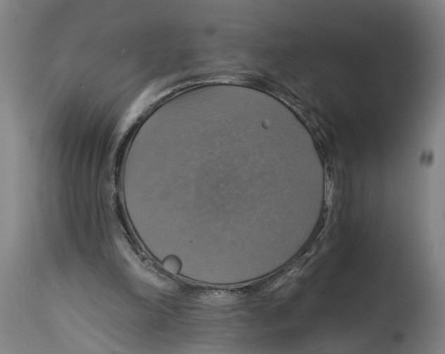 X0000114420198200911131458