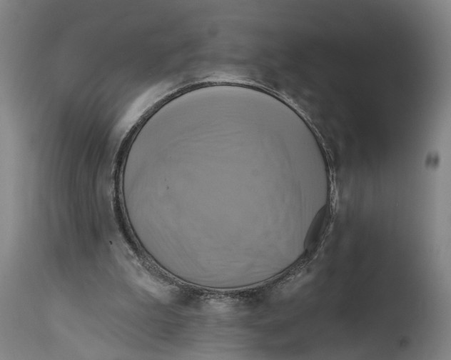 X0000114420199200911131458