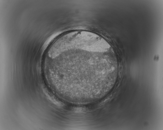 X0000114420200200911131458