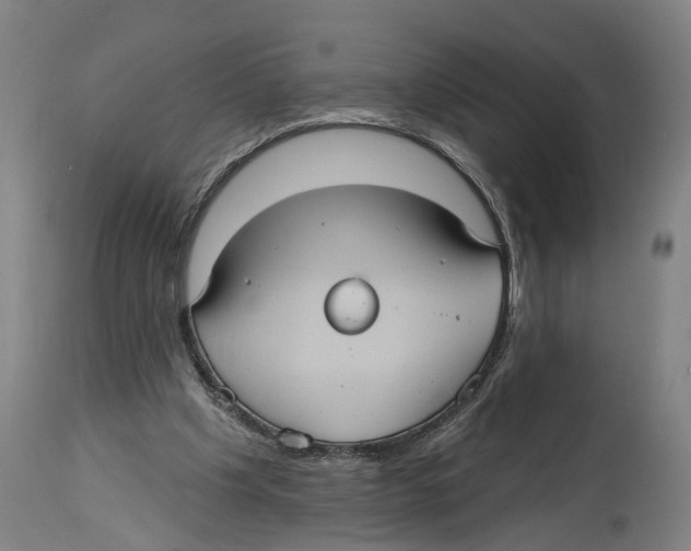 X0000114420201200911131458