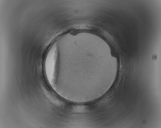 X0000114420202200911131458