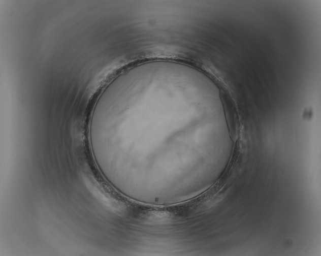 X0000114420203200911131458