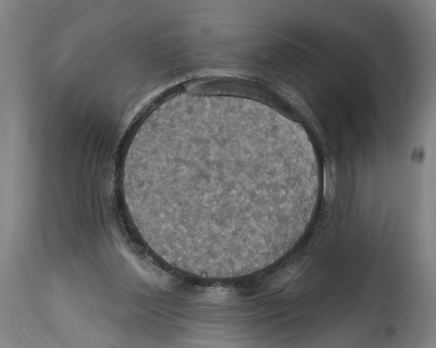 X0000114420204200911131458