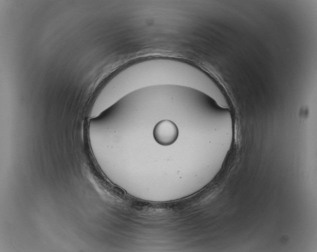 X0000114420205200911131458