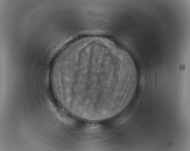 X0000114420206200911131458