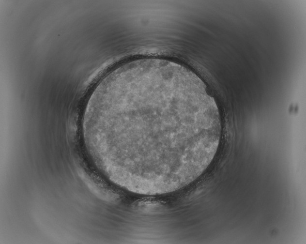 X0000114420208200911131458