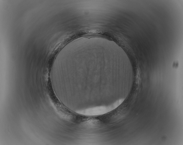 X0000114420210200911131458