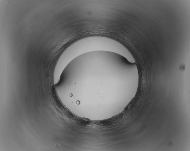 X0000114420211200911131458