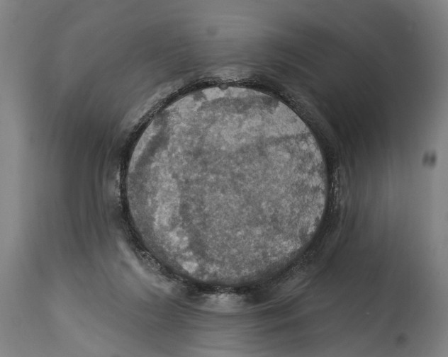 X0000114420212200911131458