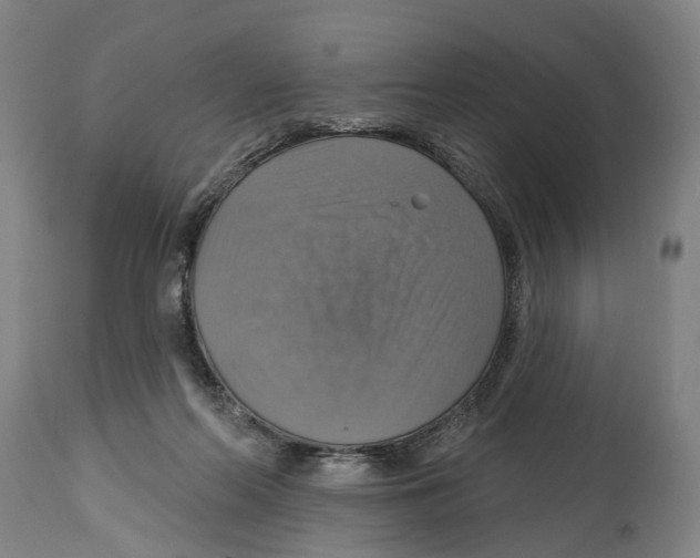 X0000114420214200911131458