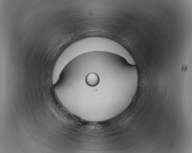 X0000114420215200911131458