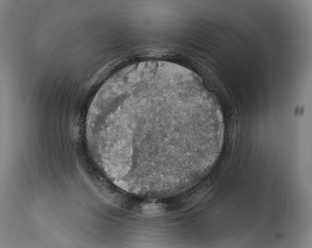 X0000114420216200911131458