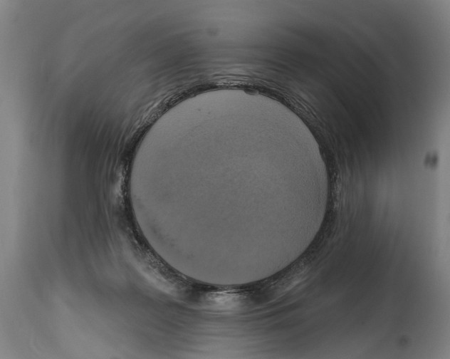 X0000114420219200911131458