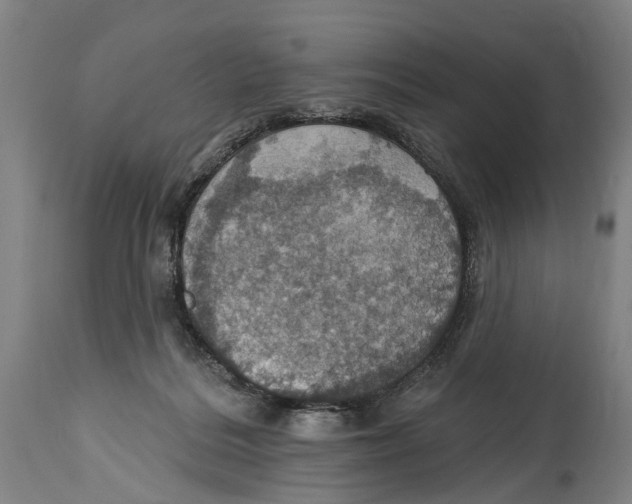 X0000114420220200911131458