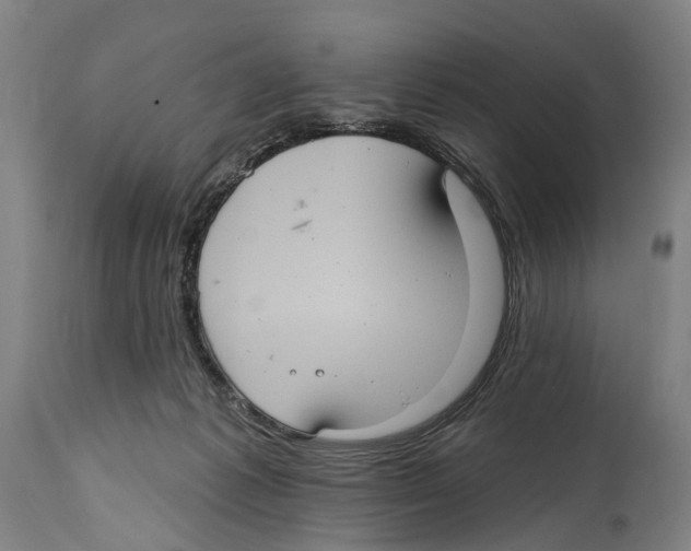 X0000114420221200911131458