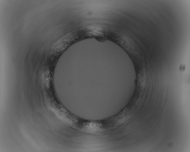 X0000114420223200911131458